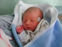 Penneraleks1.jpg