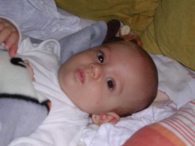 DSCN0442.jpg