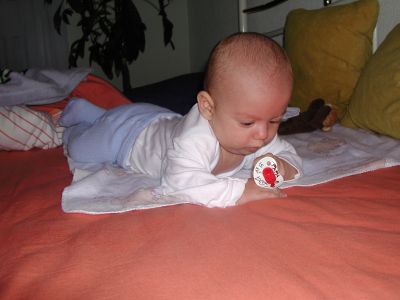 DSCN0453.jpg