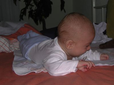 DSCN0458.jpg