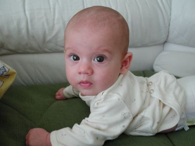 DSCN0482.jpg