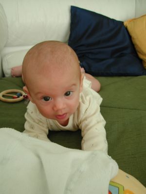 DSCN0501.jpg