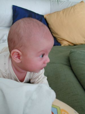 DSCN0504.jpg