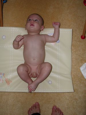DSCN0529.jpg