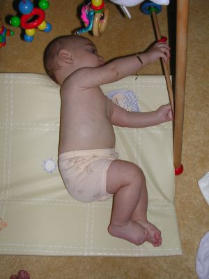 DSCN0531.jpg
