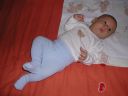 DSCN0461.jpg