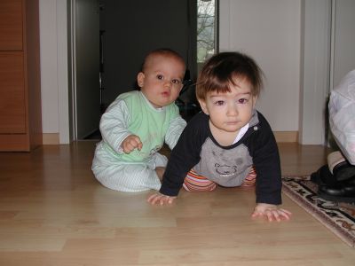 gogo_besuch_003.jpg