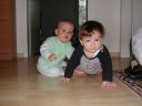 gogo_besuch_003.jpg