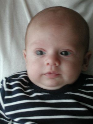 DSCN0231.jpg