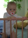 DSCN1178.jpg