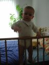 DSCN1179.jpg